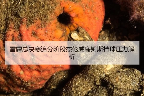 雷霆总决赛追分阶段杰伦威廉姆斯持球压力解析